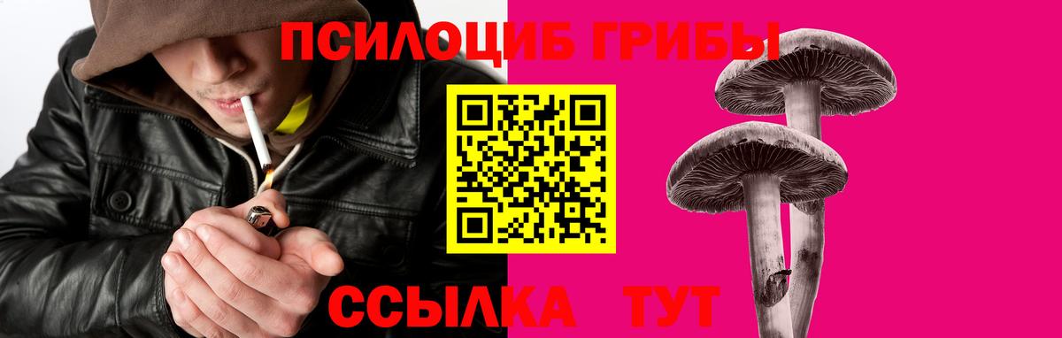 Ржев  Галлюциногенные грибы Psilocybe  Псилоцибиновые грибы мухоморы  Вход с VPN 