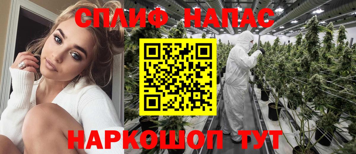 Ржев  Канабис Bruce Banner  Вход с VPN  МАРИХУАНА планчик  Каннабис семена 